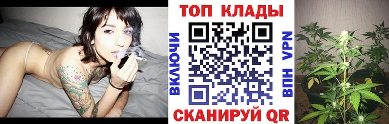 Виды наркотиков купить Дальнегорск Канабис  Кокаин  Гашиш 