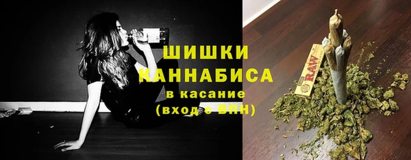 дмт Бронницы