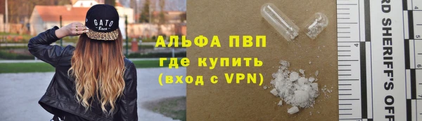 индика Богородицк
