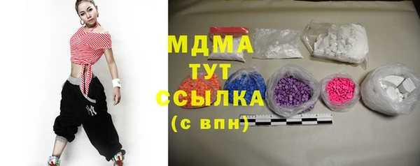 индика Богородицк