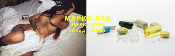 таблы Бородино
