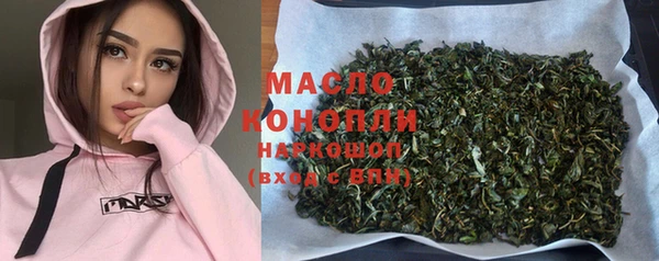 индика Богородицк