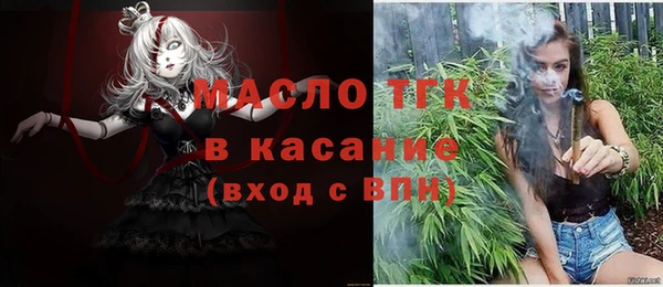 стаф Богородск