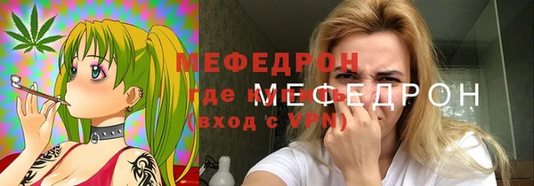 индика Богородицк
