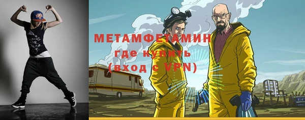индика Богородицк