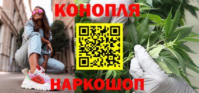 Альфа ПВП Ивантеевка