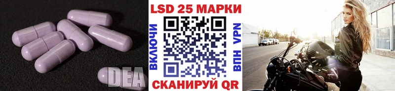 OMG ссылка  Дальнегорск  ЛСД экстази кислота  цены наркотик 