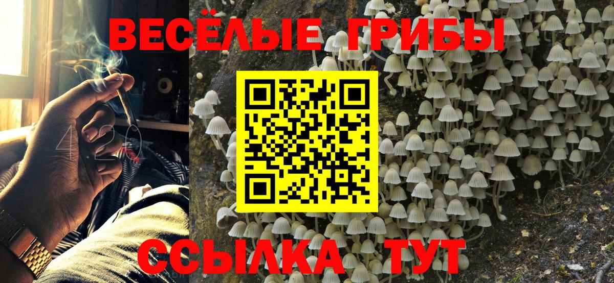 A PVP СК кристаллы  Канабис  Вход с VPN  Дальнегорск  МЕФ кристаллы 